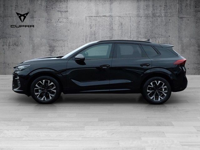 Cupra Terramar - Bild 7