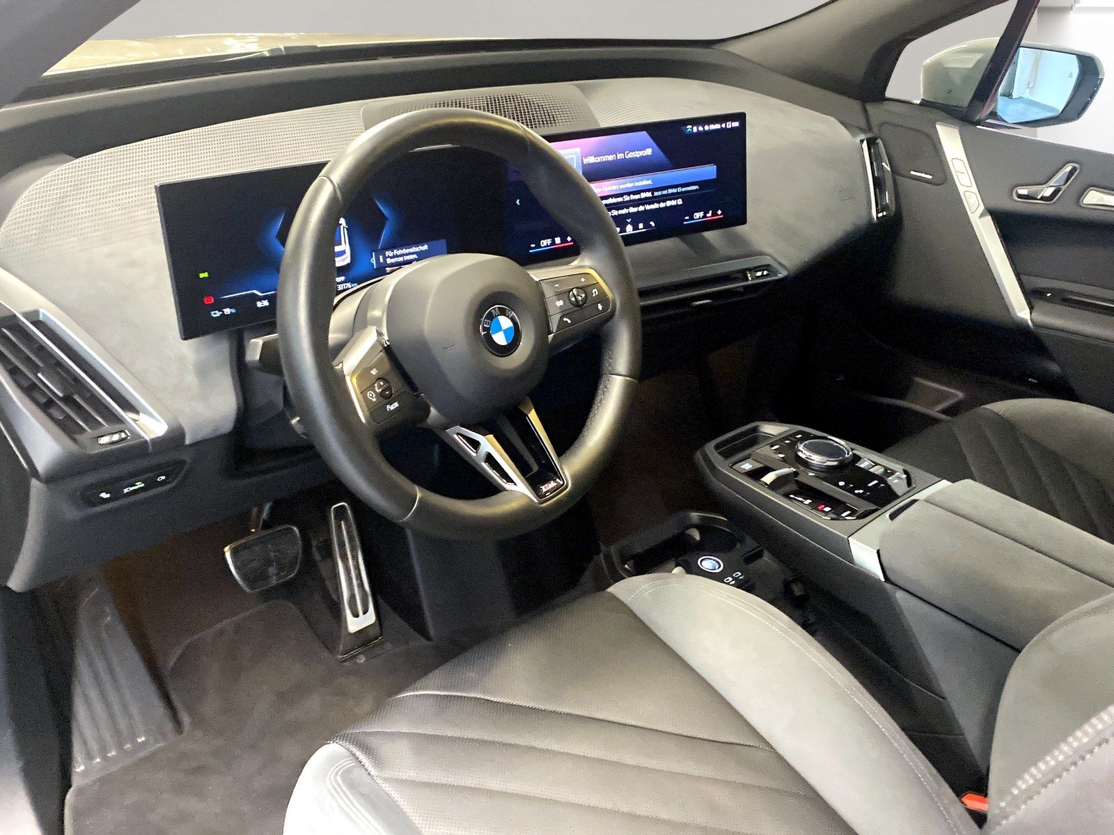BMW iX xDrive45 M Sport AHK Driv.Assist.Prof Kamera foto 4