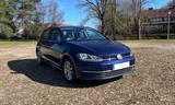 Volkswagen Golf 1.6 TDI SCR Trendline Trendline