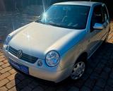 Volkswagen Lupo 1.4 College TÜV* BREMSEN*QUERKENKER* NEU - gebrauchte VW Lupo aus dem Jahr 2002