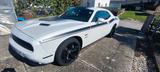 Dodge Challenger - Dodge Challenger Gebrauchtwagen