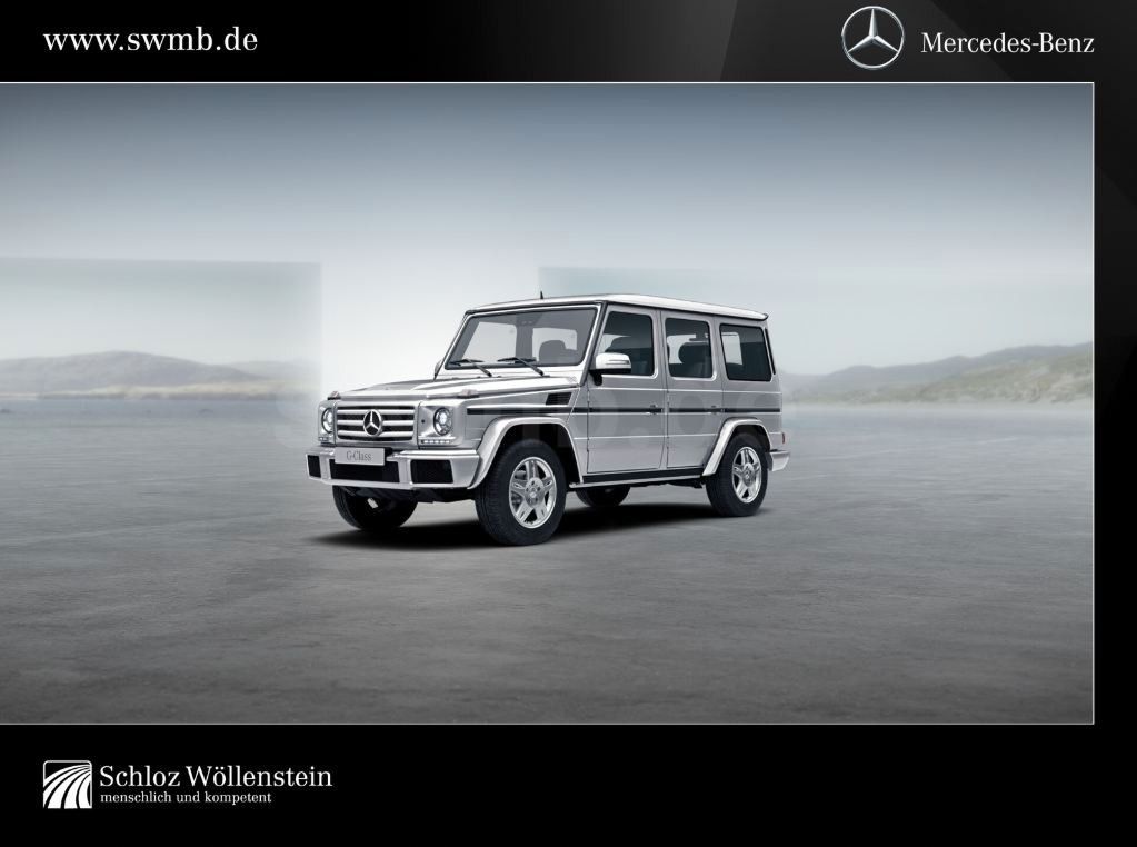 MERCEDES-BENZ G 350d Professional/LED/AHK/DISTRON/Memory/Totw