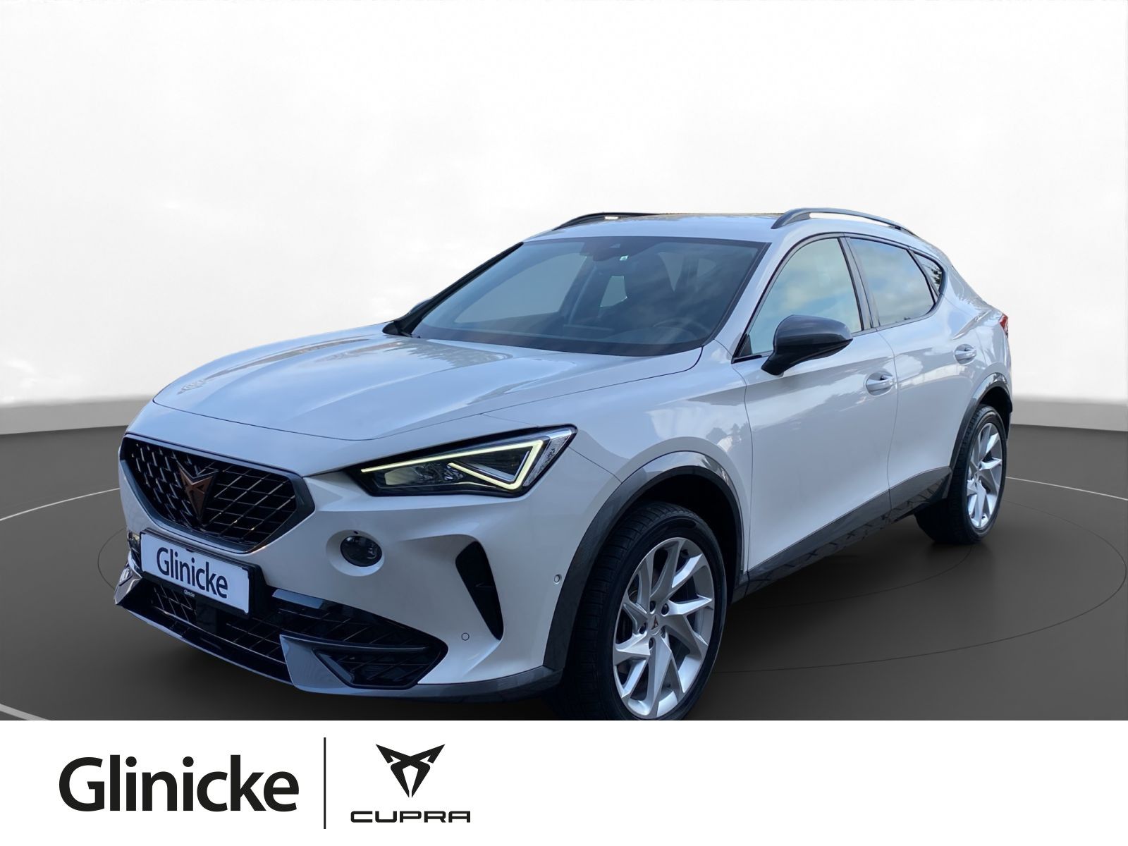 Cupra Formentor 1.5 TSI LED ACC PDC KAM Sitzh.