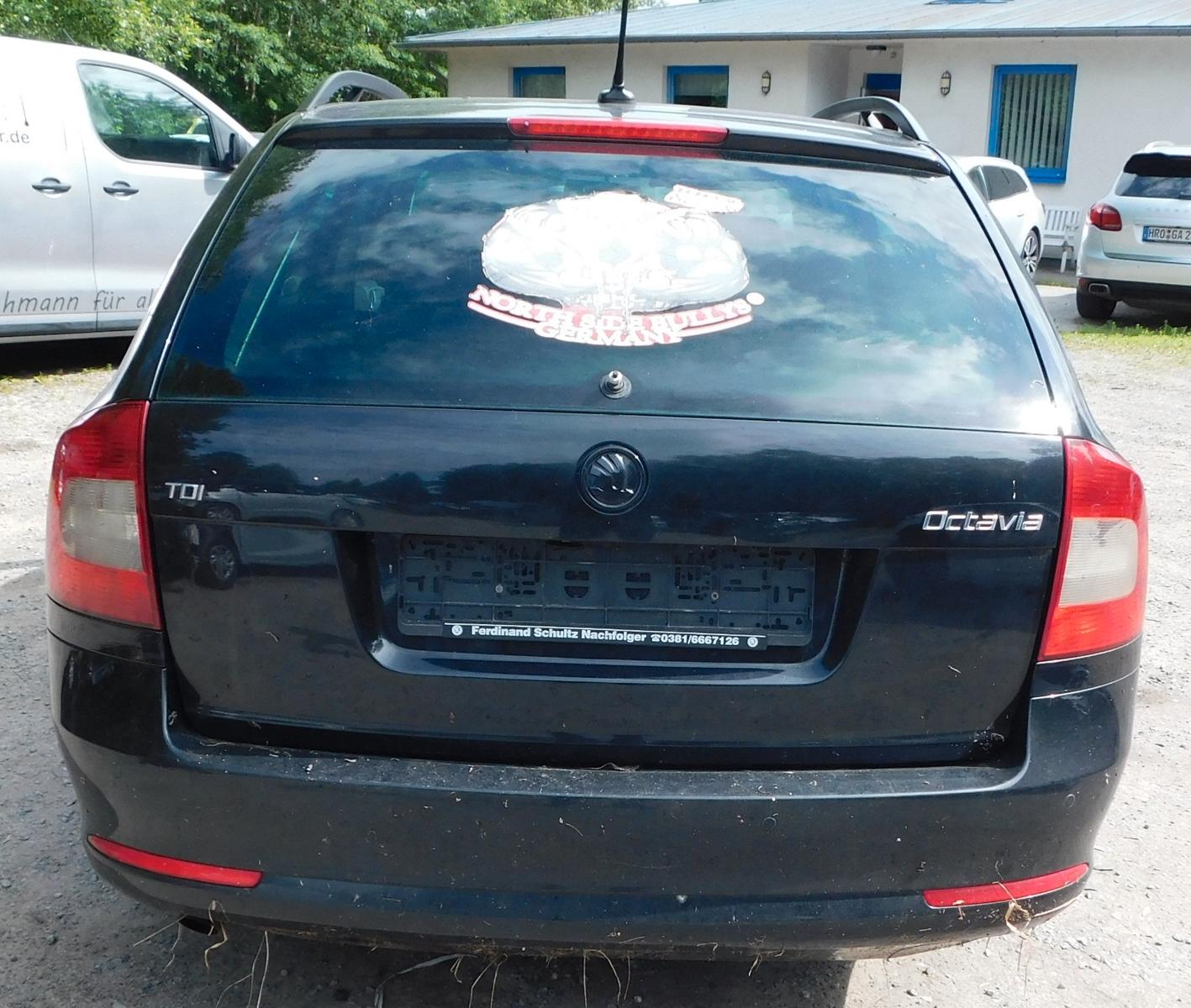 Skoda Octavia 2013 — photo 7