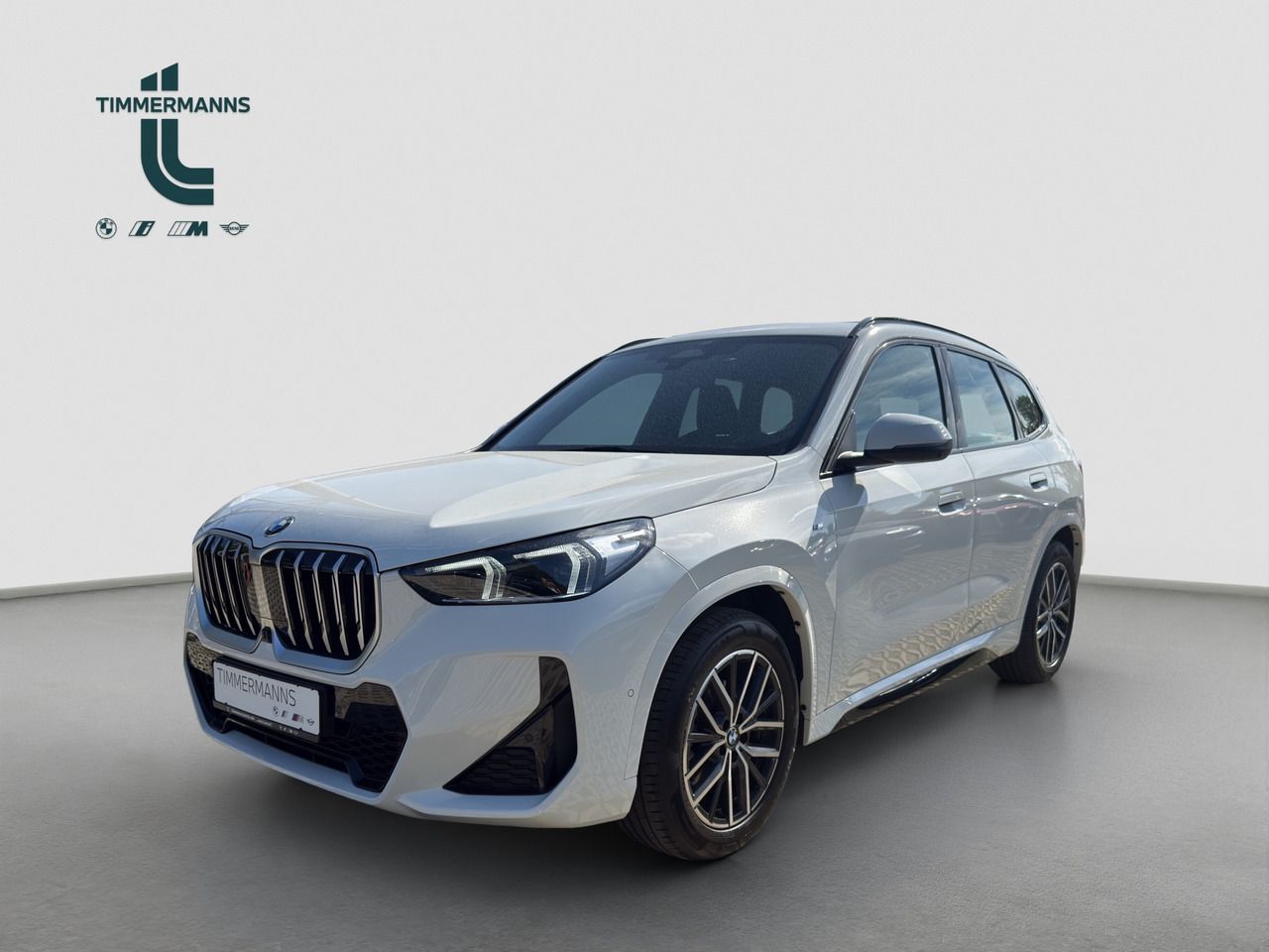 BMW X1 xDrive20d Steptronic Navi DSG Tempom.aktiv foto 1