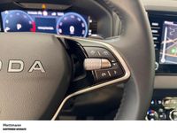 Skoda Karoq - Vorschau Bild 14