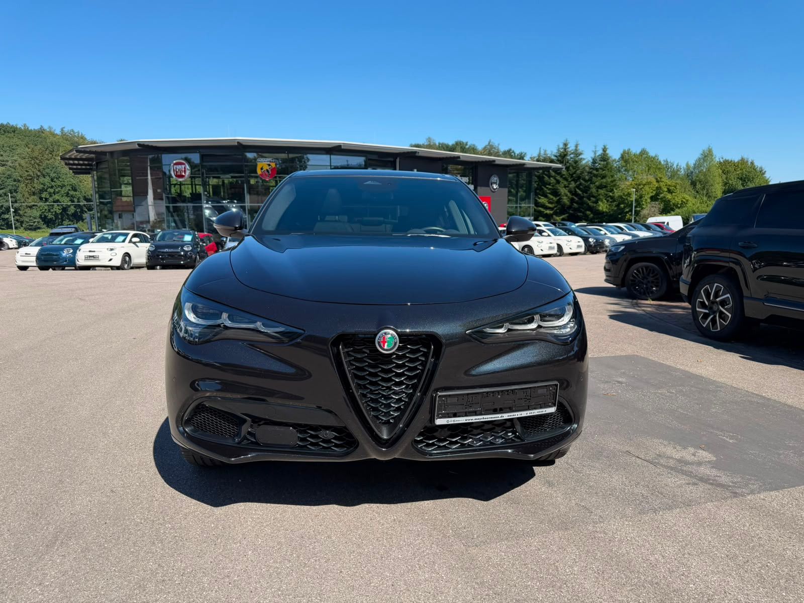 Fahrzeugabbildung Alfa Romeo Stelvio Veloce Q4