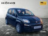 Fiat Panda MY25 1.0 Klima PDC Citypaket - Fiat Panda in Leipzig
