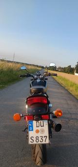 Kawasaki EL 250 - Offers matching your search criteria
