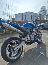 Honda Hornet - HONDA 1999 HORNET