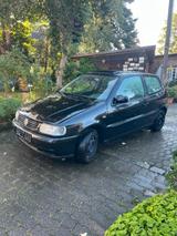 Volkswagen VW Polo 6n1 OpenAir - Volkswagen Polo: Openair