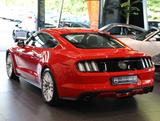 Ford Mustang GT Fastback 1.Hand*NUR 12T KM - Ford Mustang in Hamm