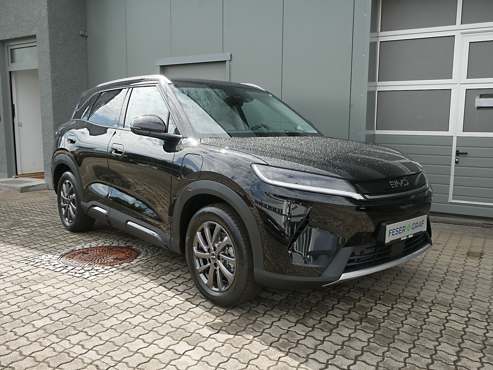 BYD ATTO 2