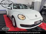 Volkswagen Beetle Cabriolet BMT Funki NAVI SHZ - Volkswagen Beetle: Cabrio