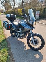 Honda Transalp - HONDA TRANSALP