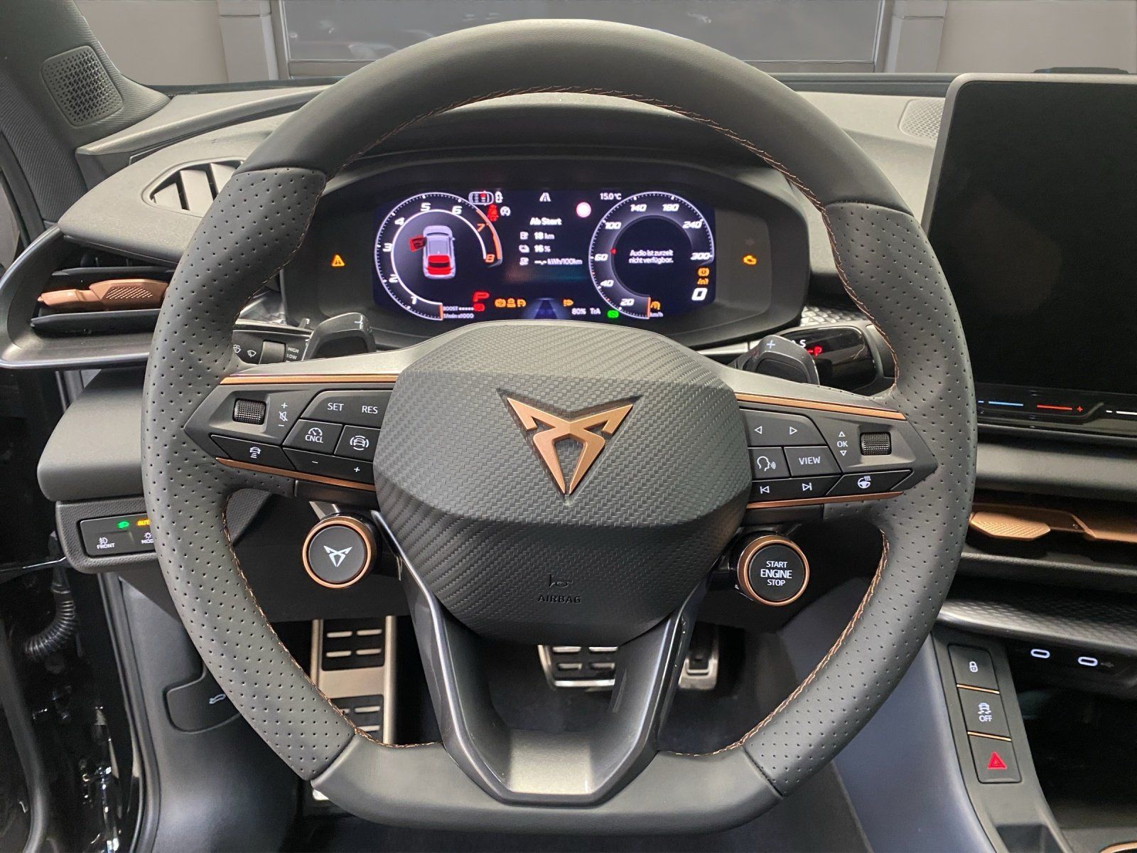 Cupra Terramar - Bild 11