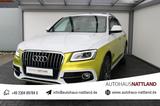 Audi Q5 2.0 TFSI quattro S-Line Pano Leder RFK - Audi Q5 mit Benzin-Antrieb: Geländewagen, Automatik