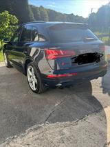 Audi SQ5 3.0 TFSI tiptronic quattro - - Audi SQ5 mit Benzin-Antrieb: Sitzbelüftung
