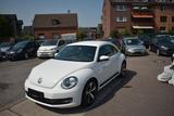 Volkswagen Beetle Lim. Basis*Klimaanlage*NAVI*PDC*SHZ*ALU* - Volkswagen Beetle in Duisburg