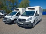 Fiat Scudo Refrigerated 130KM 2 Power - Fiat Scudo