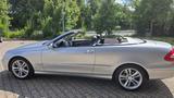 Mercedes-Benz CLK 200 KOMPRESSOR AVANTGARDE IM BESTZUSTAND ! - Mercedes-Benz aus 2003: Cabrio, Clk