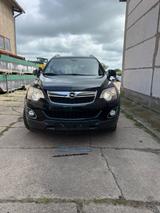 Opel Antara 2.2 CDTI Cosmo 4x4 135kW Automatik Cosmo - Opel Antara von privat