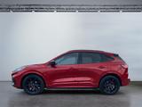 Ford Kuga ST-Line X 1.5 EcoBoost ACC PDC NAV KAM - Ford Gebrauchtwagen in Offenbach