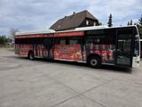 Mercedes-Benz Citaro O530 LE, Gurten,  Armlehnen, Gardinen - Angebote