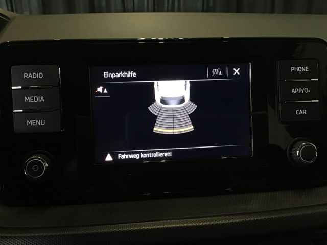 Fahrzeugabbildung Skoda Fabia Active 1.0 TSI PDC/SHZ/LED/SmartLink/DAB