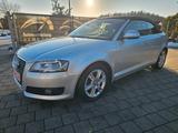 Audi A3 Ambition 1.8 TFSI / Leder / Xenon / TOP - Audi A3 aus 2010: Cabrio