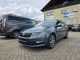 Skoda Octavia Combi Drive / TÜV NEU - Skoda Octavia Drive mit Diesel-Antrieb