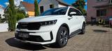 Kia Sorento 1.6 T-GDI Hybrid AWD Platinum Auto P... - Kia Sorento in Mannheim