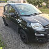 Fiat New Panda Easy 1,2 Liter Zweitwagen - Fiat New Panda von privat