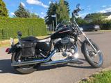 Harley-Davidson XL53c Sportster 883 Custom - Angebote