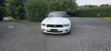 Ford Mustang V6 2012 S197 - Ford Mustang in Hagen