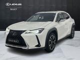 Lexus UX UX 250h 2.0 Executive 2wd cvt my20 - Lexus UX aus 2020