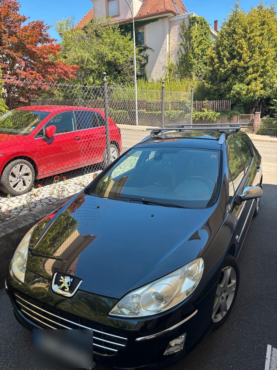Peugeot 407 2010 — rear view
