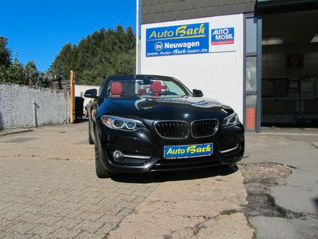 BMW Cabrio 218 i Sitzheizung Leder sehr Gepflegt