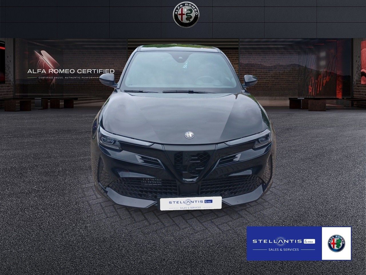 Alfa Romeo Junior - Bild 2
