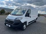 Opel Movano  3.5T L3H2 Navi-Carplay PP Kamera - Opel Movano Tageszulassungen