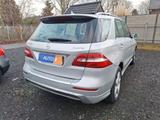 Mercedes-Benz ML 350 CDI*AMG PAKET*PANORAMA*1.HAND* - Mercedes-Benz ML 350 Gebrauchtwagen
