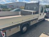 Fiat Ducato - Fiat Ducato: Kombi