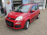 Fiat Panda Lounge - gebrauchte Fiat Panda aus dem Jahr 2014