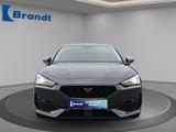 Cupra Leon 1.5 eTSI DSG+LED+NAVI+ACC+FULL LINK+KAMERA - Cupra Gebrauchtwagen von 2023