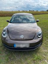 Volkswagen VW Beetle Toffeebraun - VW Beetle Gebrauchtwagen in Bremen