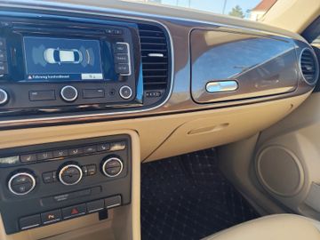 Volkswagen Beetle - 8