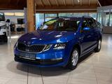 Skoda Octavia Combi 1.6 TDI Clever LED ACC Navi SHZ - Skoda Octavia Gebrauchtwagen in Dresden