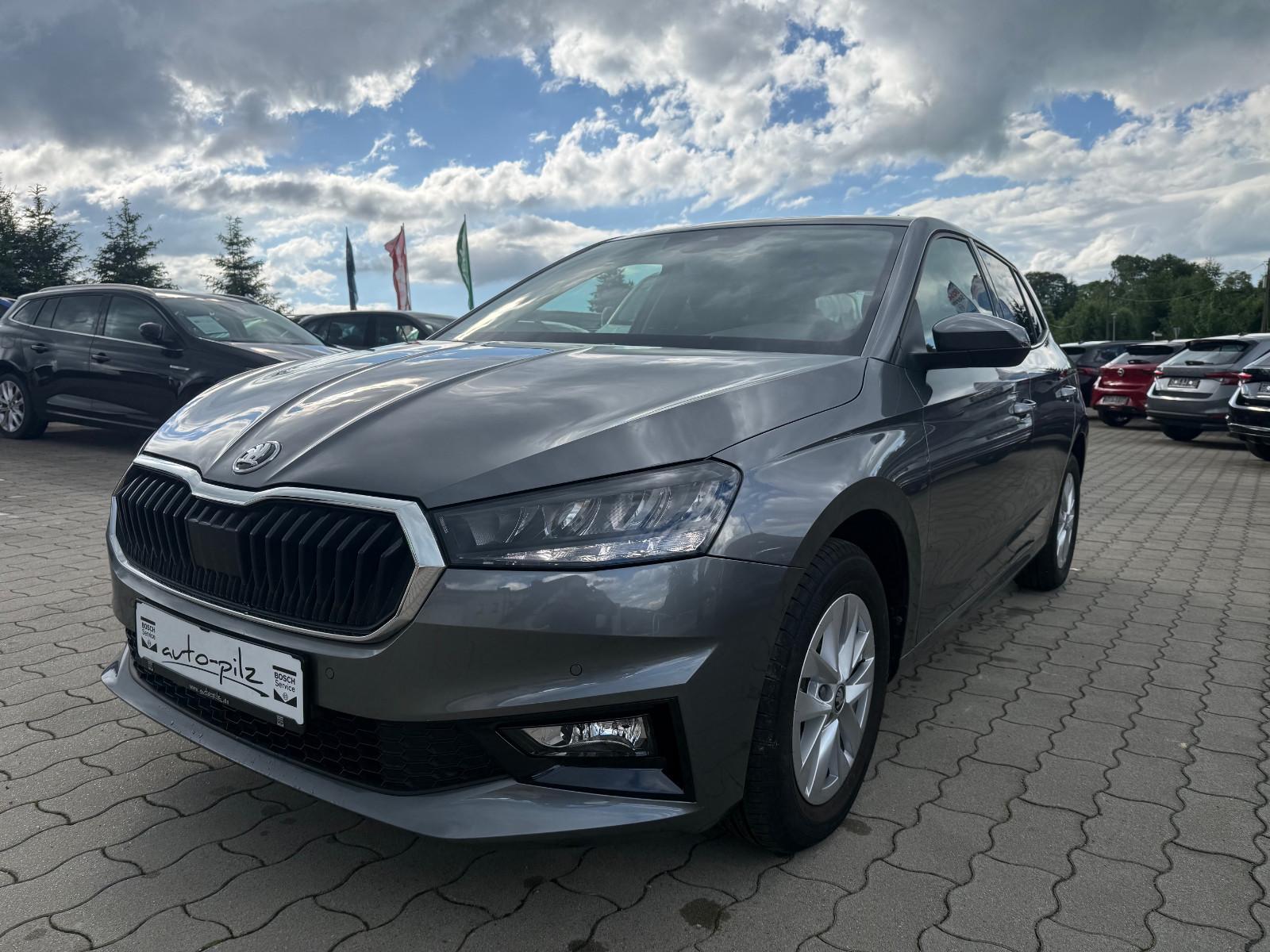 Skoda Fabia Top Selection 115PS R-Kamera heizb. Lenkr.