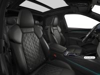 Audi SQ5 - Vorschau Bild 10