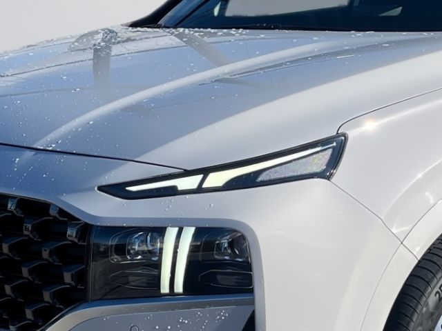 Fahrzeugabbildung Hyundai SANTA FE 2.2 CRDi 4WD 8DCT SIGNATURE SEVEN Panor